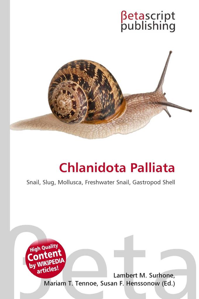 Chlanidota Palliata