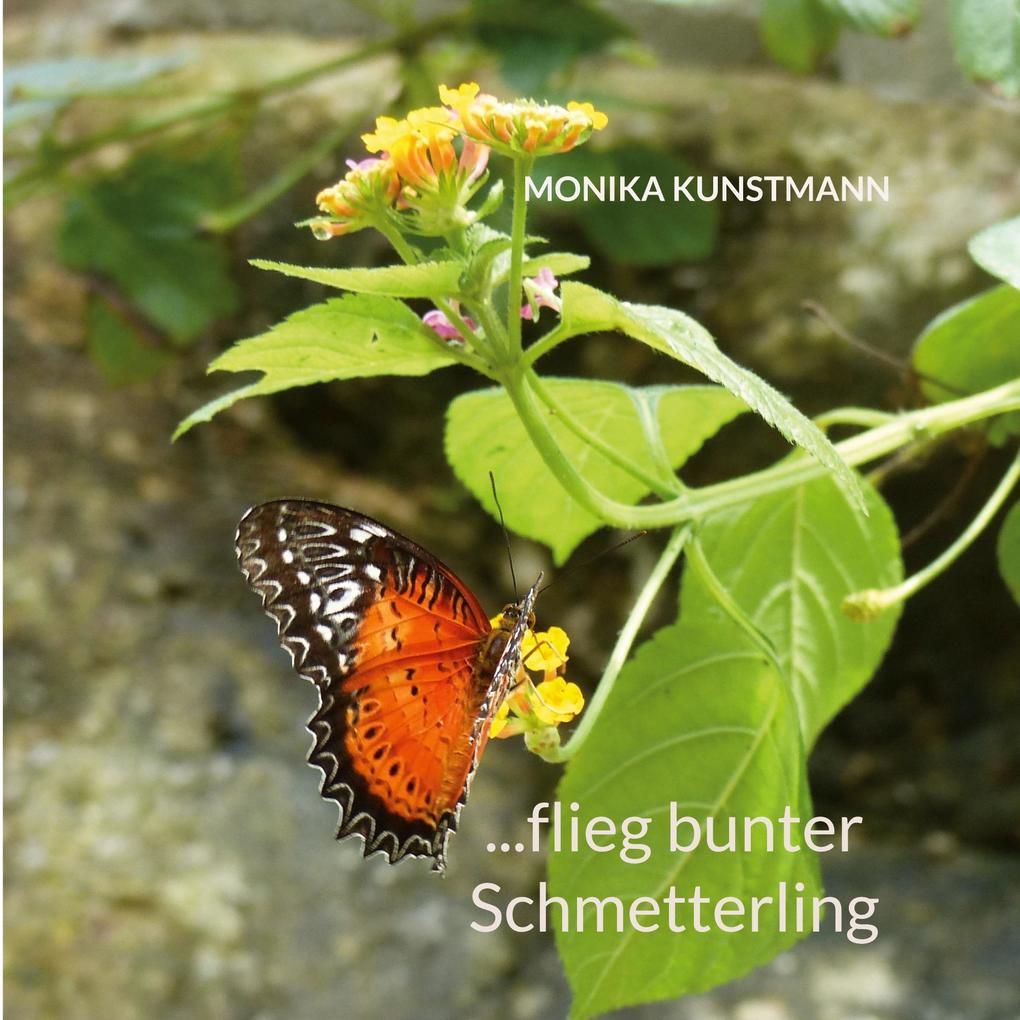 ...flieg bunter Schmetterling