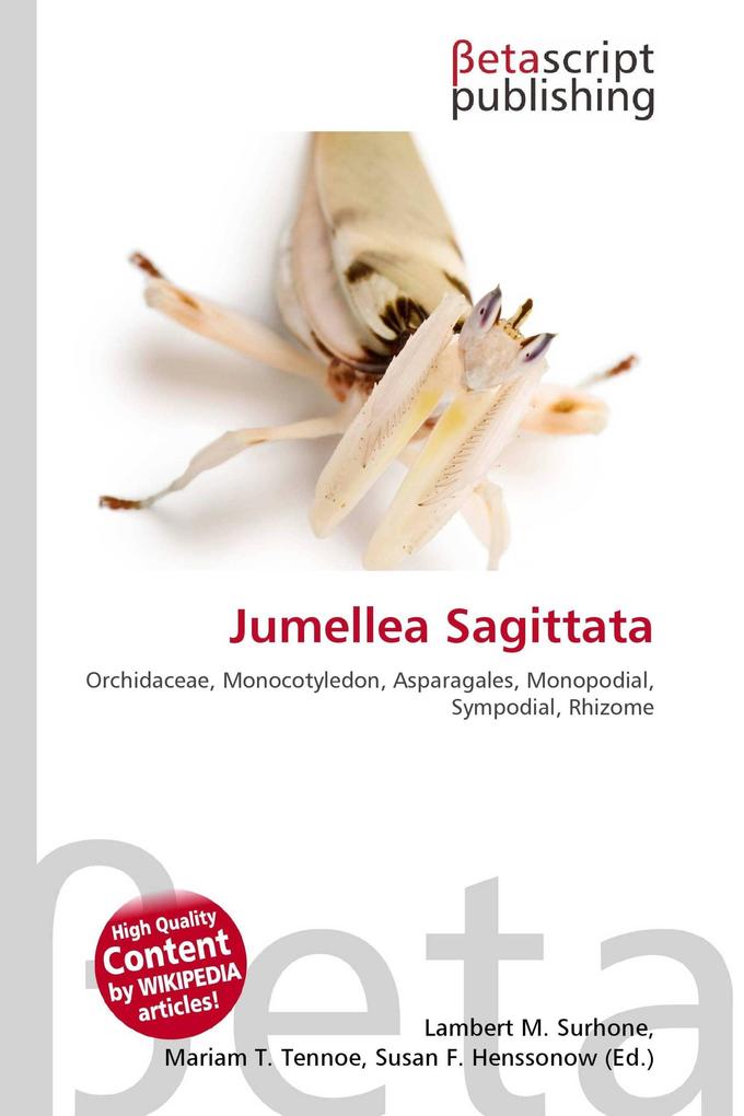 Jumellea Sagittata