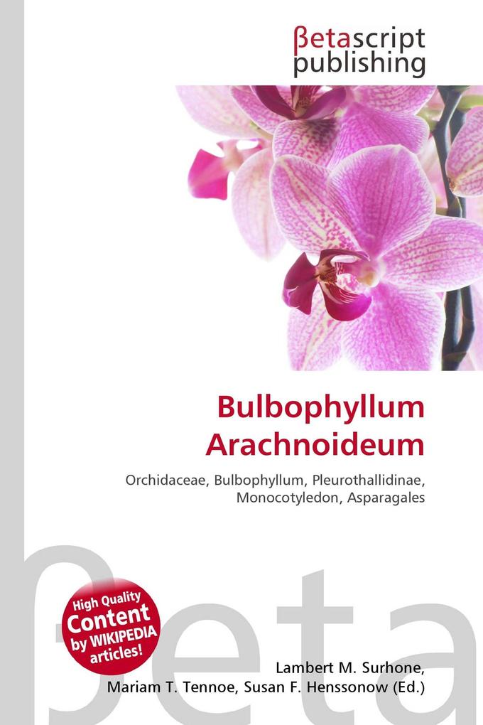 Bulbophyllum Arachnoideum