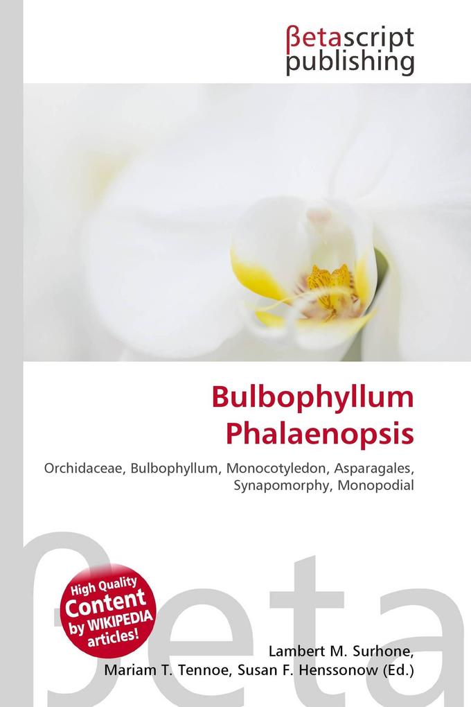 Bulbophyllum Phalaenopsis