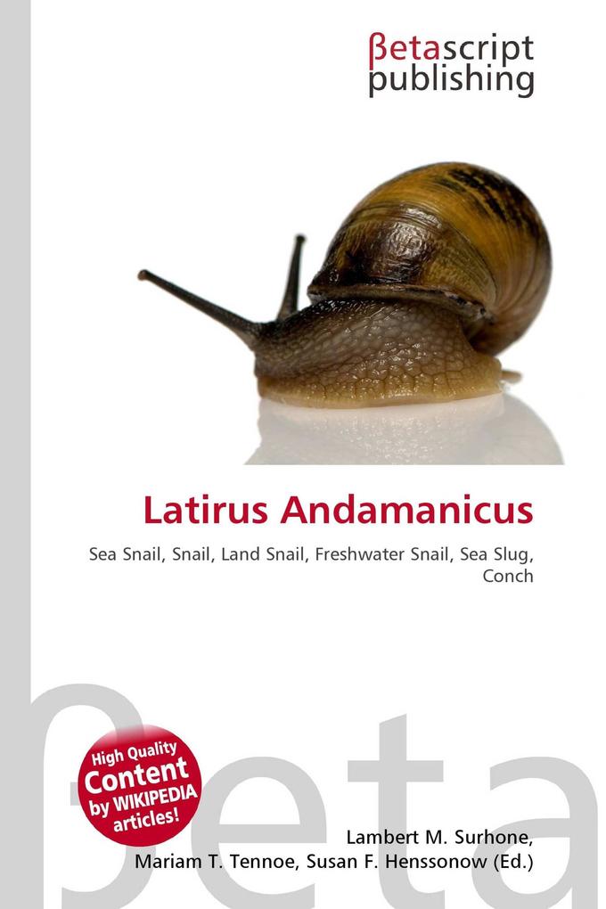 Latirus Andamanicus