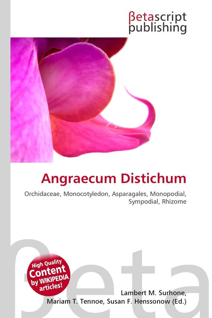 Angraecum Distichum