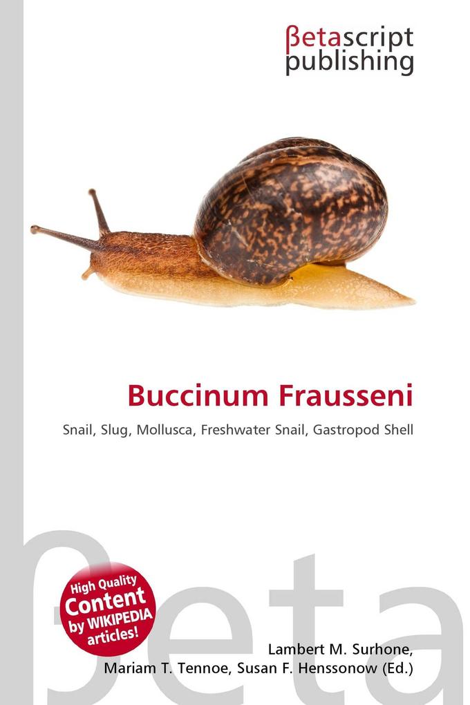 Buccinum Frausseni