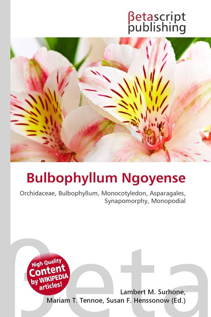 Bulbophyllum Ngoyense