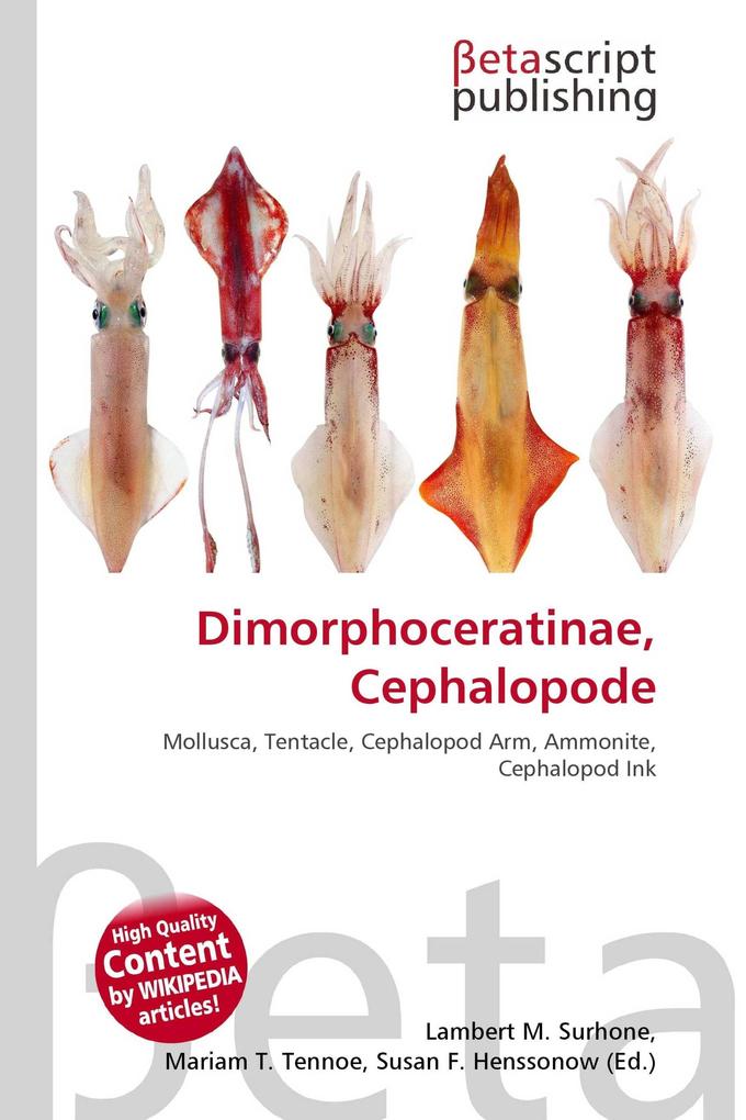 Dimorphoceratinae Cephalopode