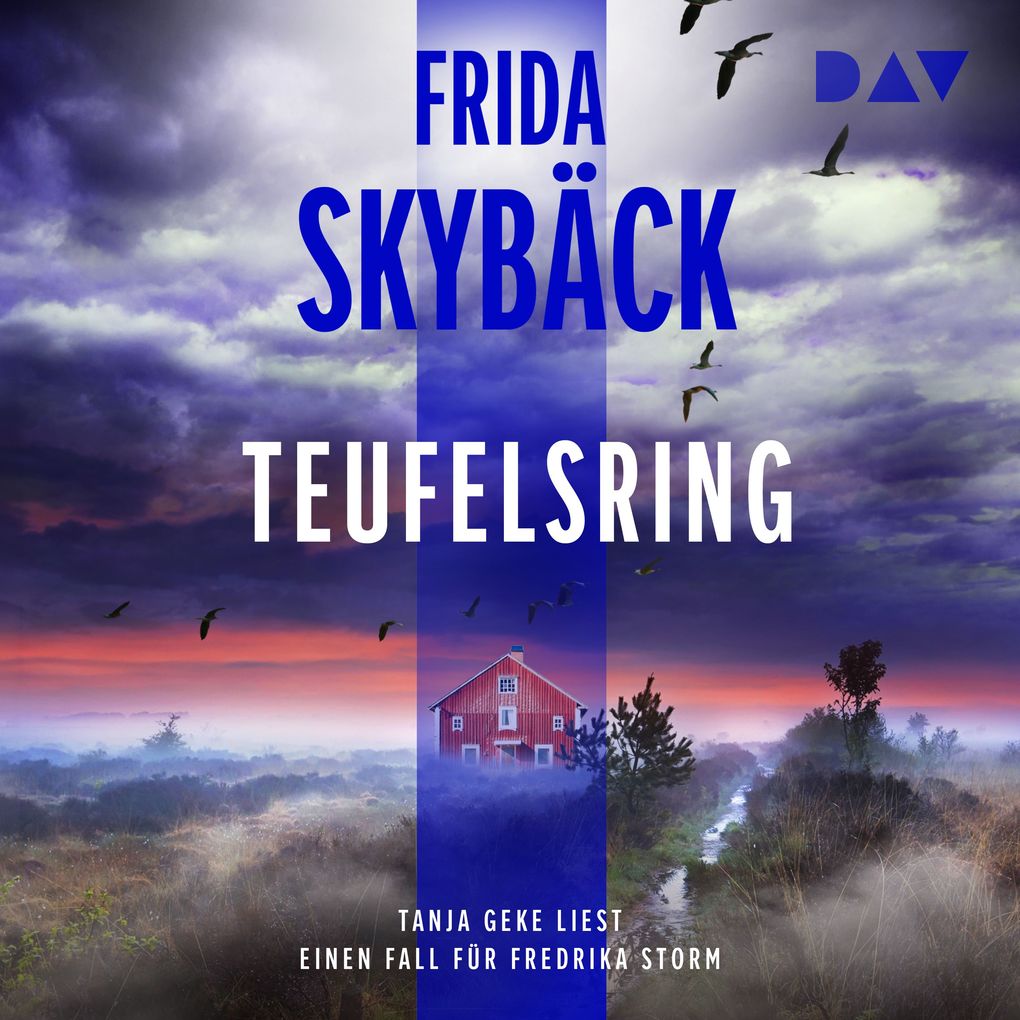 Teufelsring. Ein Fall für Fredrika Storm