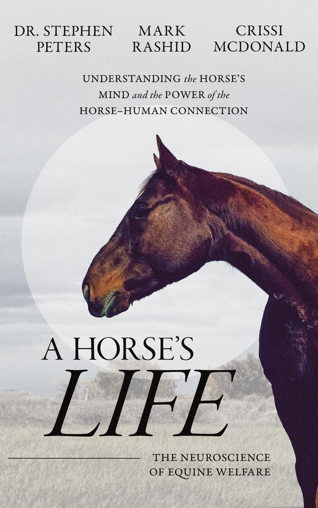 A Horse's Life