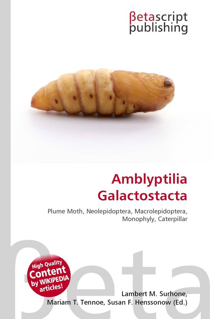 Amblyptilia Galactostacta