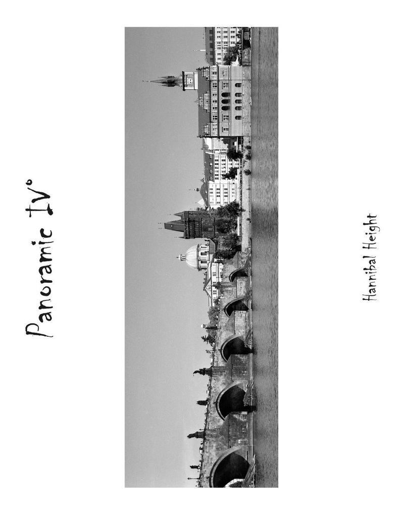 Panoramic IV°