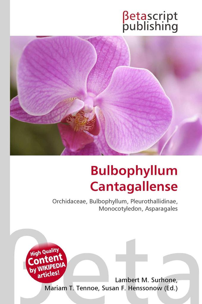 Bulbophyllum Cantagallense