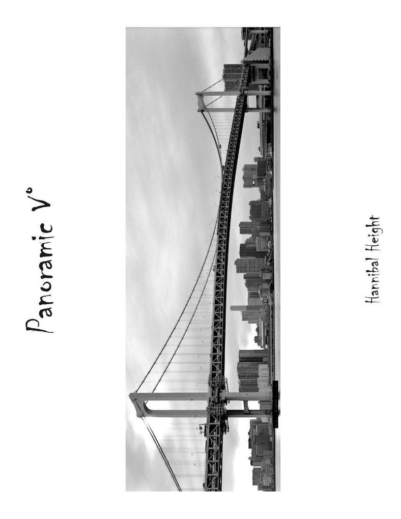Panoramic V°