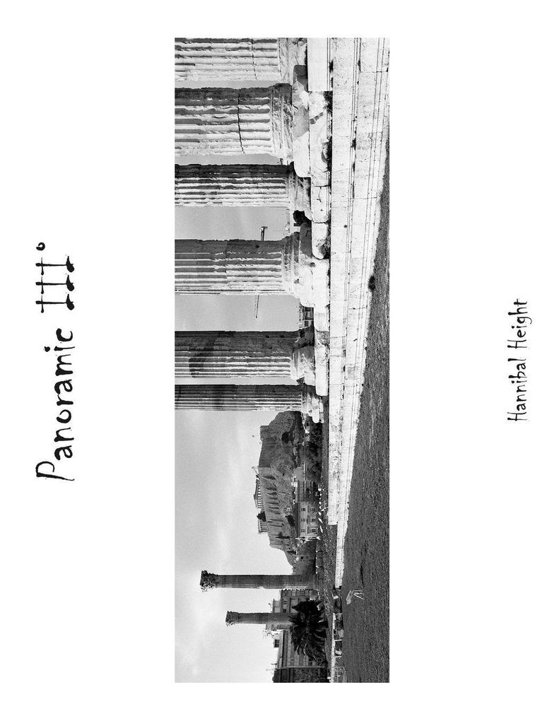 Panoramic III°