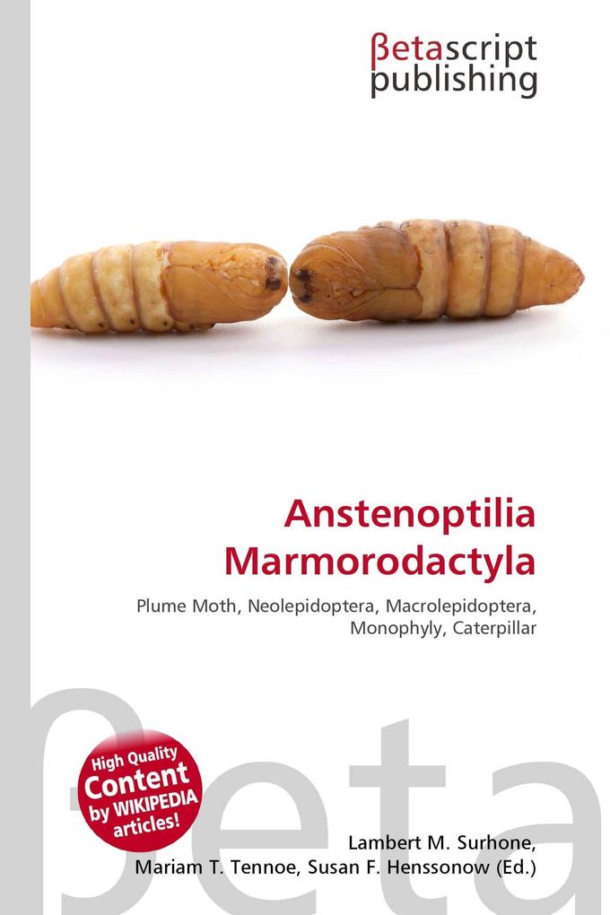Anstenoptilia Marmorodactyla