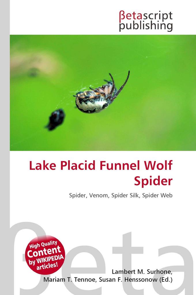 Lake Placid Funnel Wolf Spider