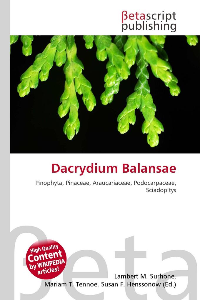 Dacrydium Balansae