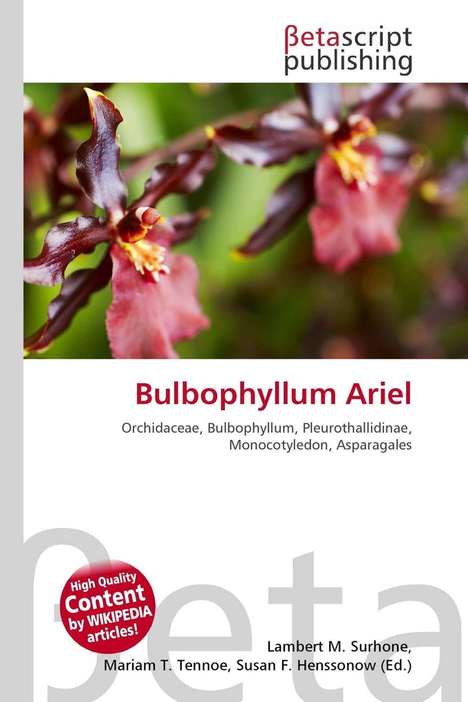 Bulbophyllum Ariel