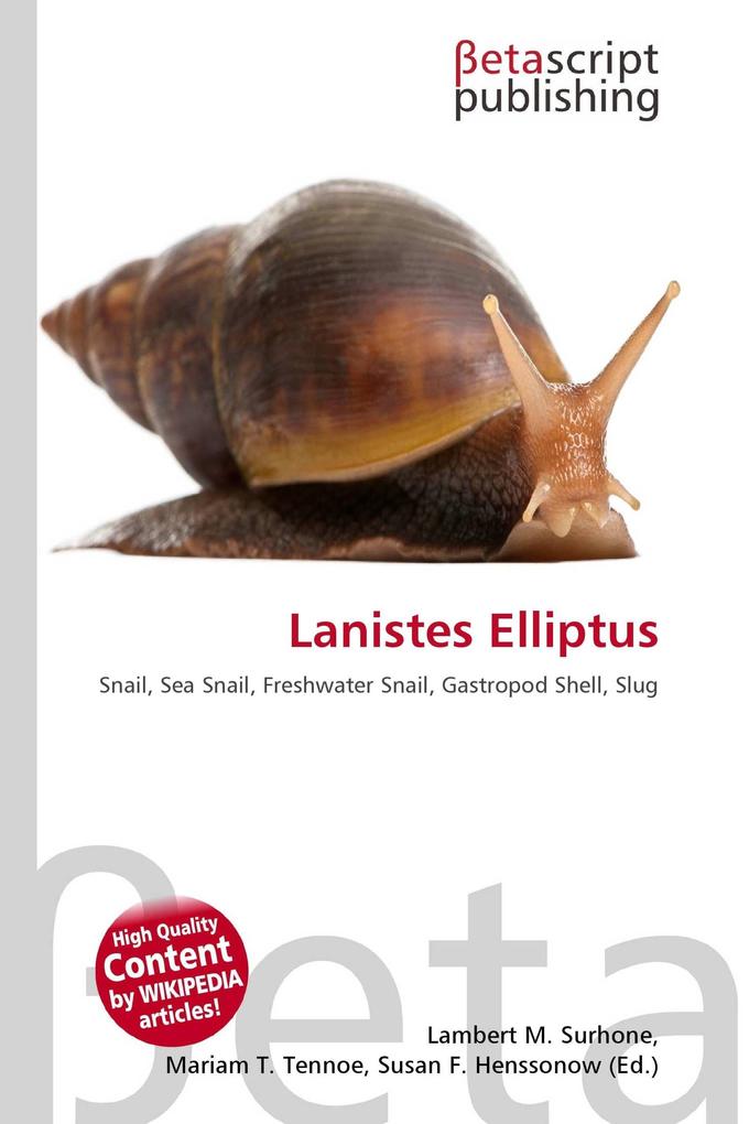 Lanistes Elliptus
