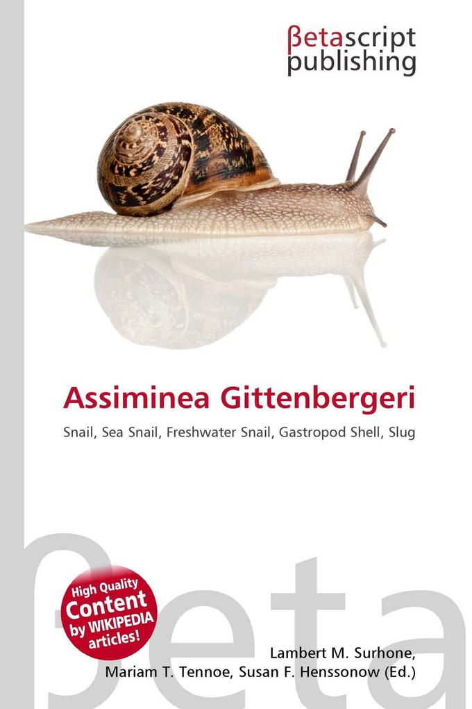 Assiminea Gittenbergeri