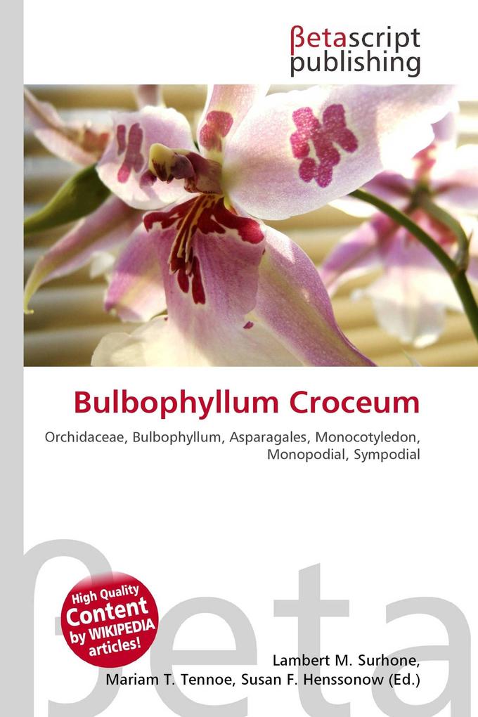 Bulbophyllum Croceum