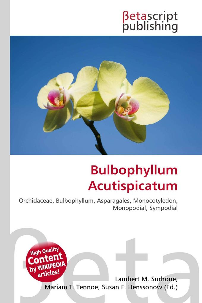Bulbophyllum Acutispicatum