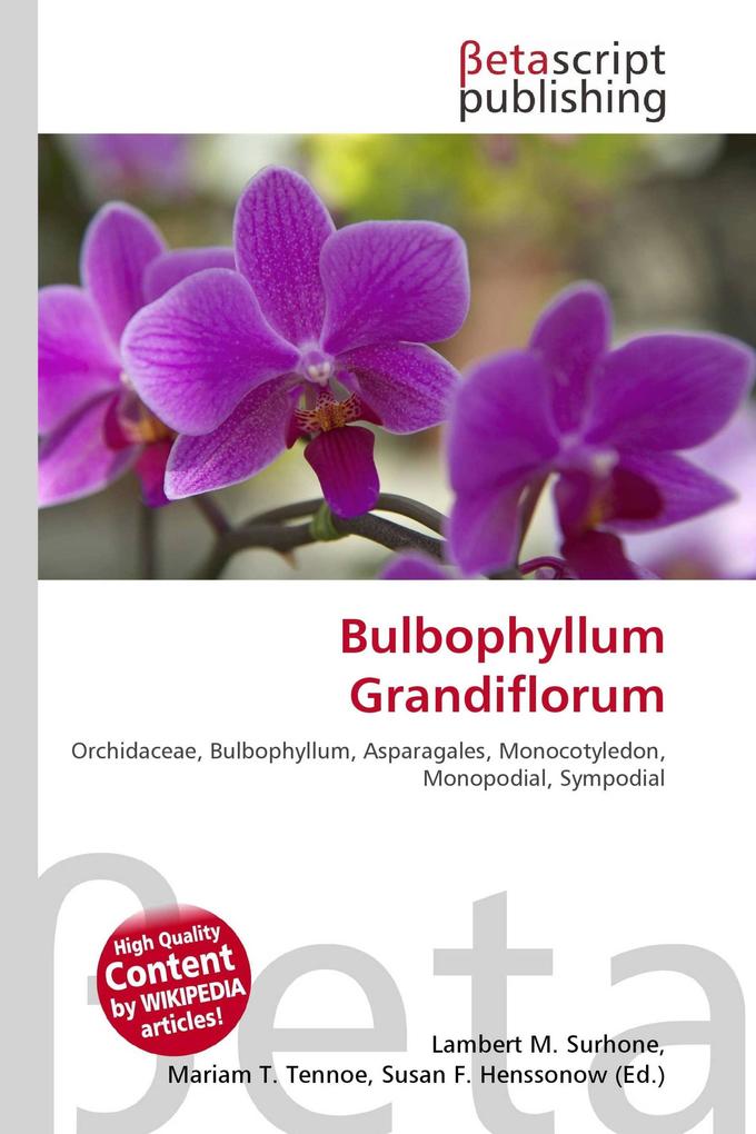 Bulbophyllum Grandiflorum