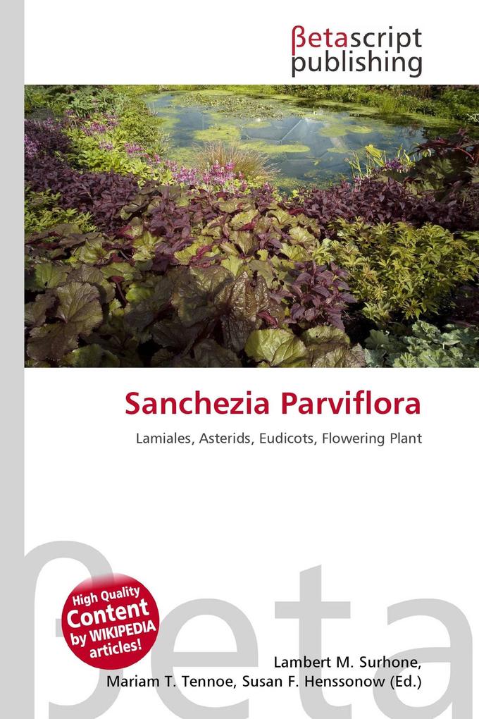 Sanchezia Parviflora