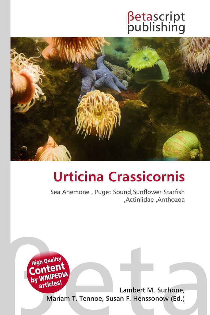 Urticina Crassicornis