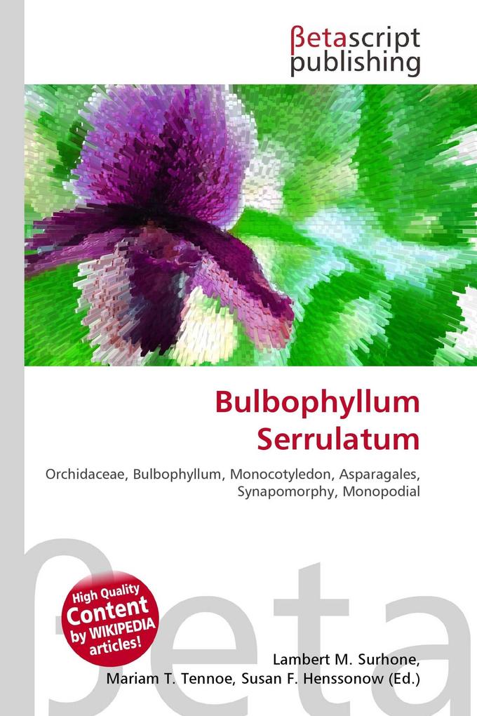 Bulbophyllum Serrulatum