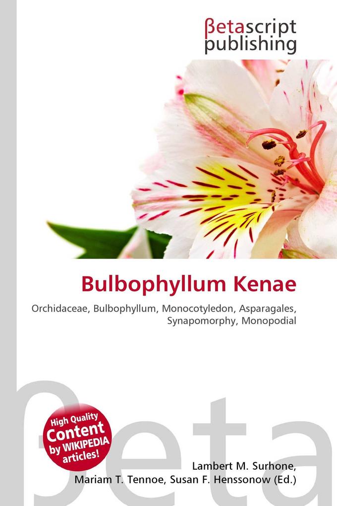 Bulbophyllum Kenae