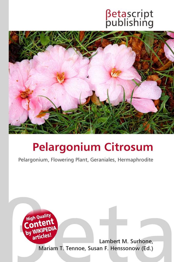 Pelargonium Citrosum