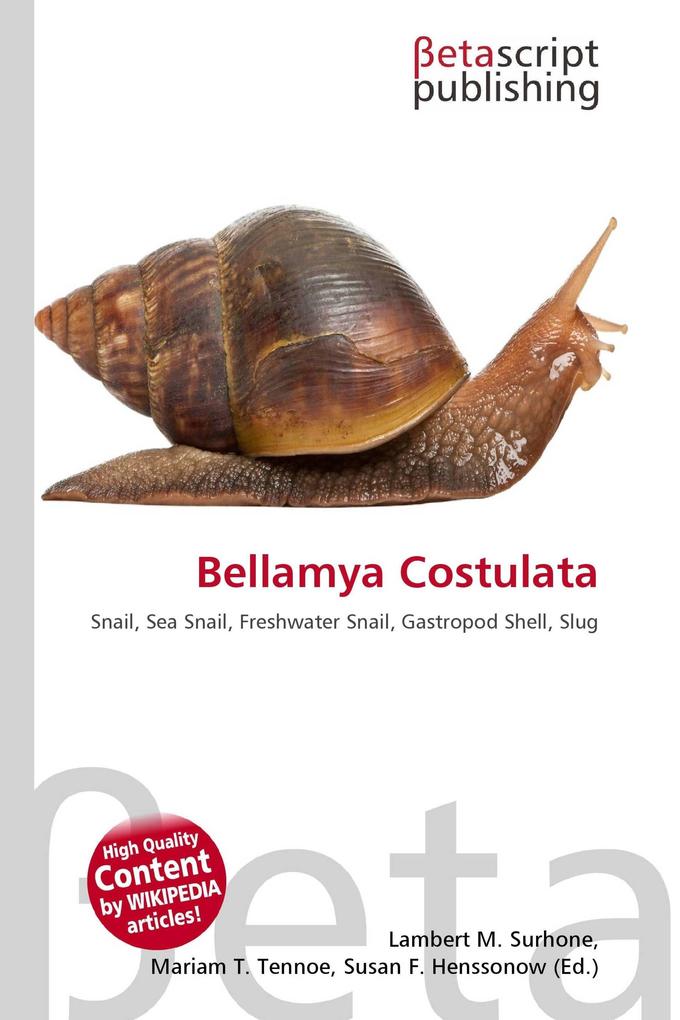 Bellamya Costulata