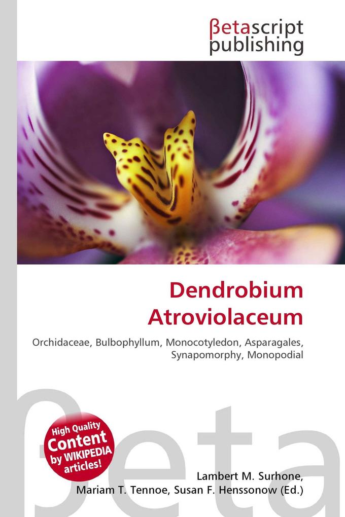 Dendrobium Atroviolaceum