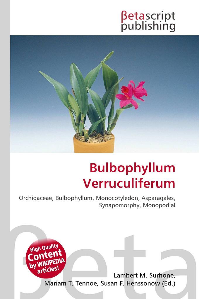 Bulbophyllum Verruculiferum