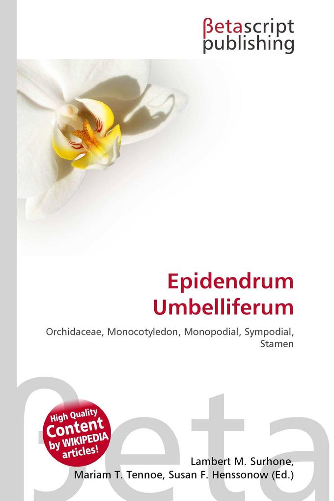 Epidendrum Umbelliferum