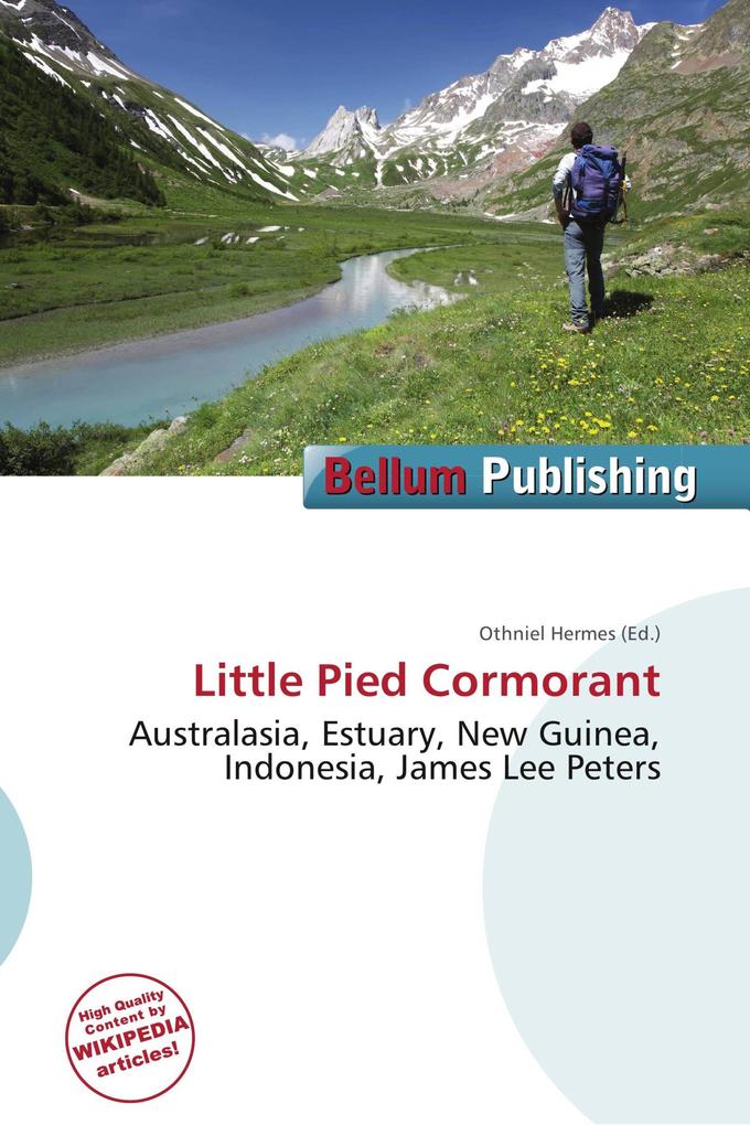 Little Pied Cormorant
