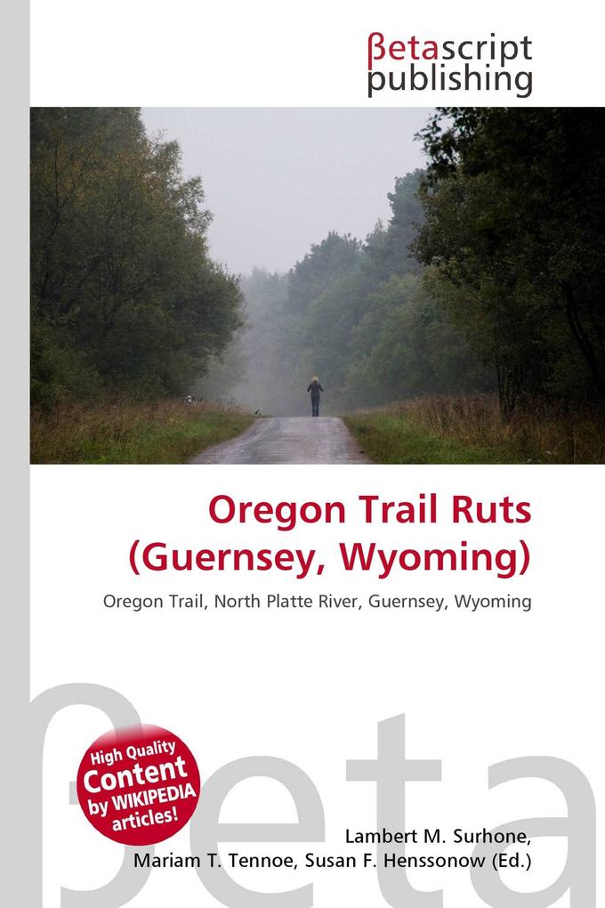 Oregon Trail Ruts (Guernsey Wyoming)