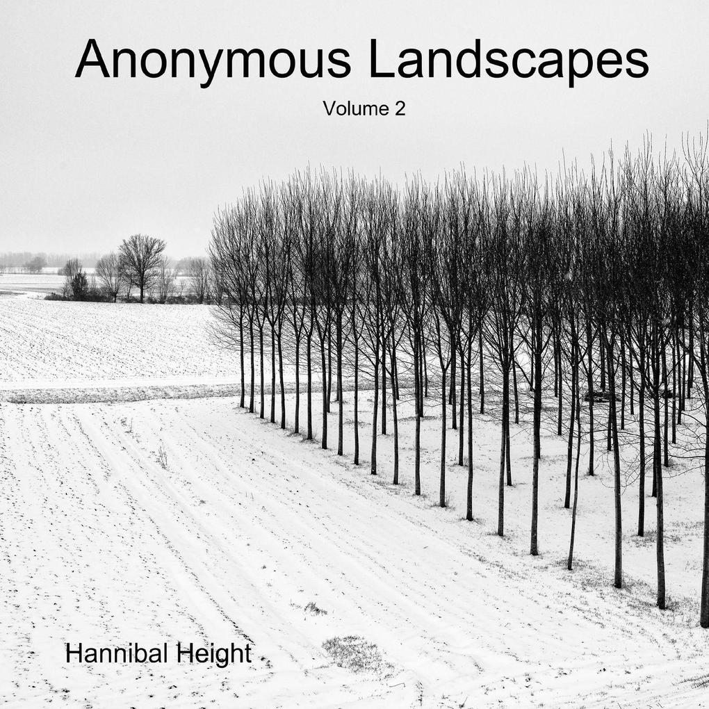 Anonymous Landscapes - Volume 2