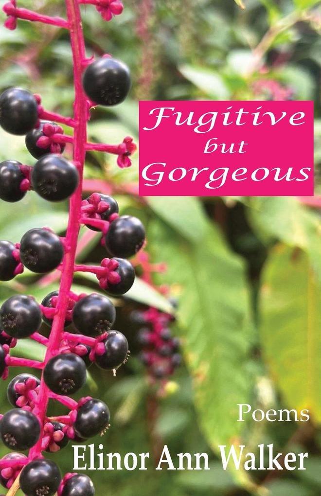 Fugitive but Gorgeous