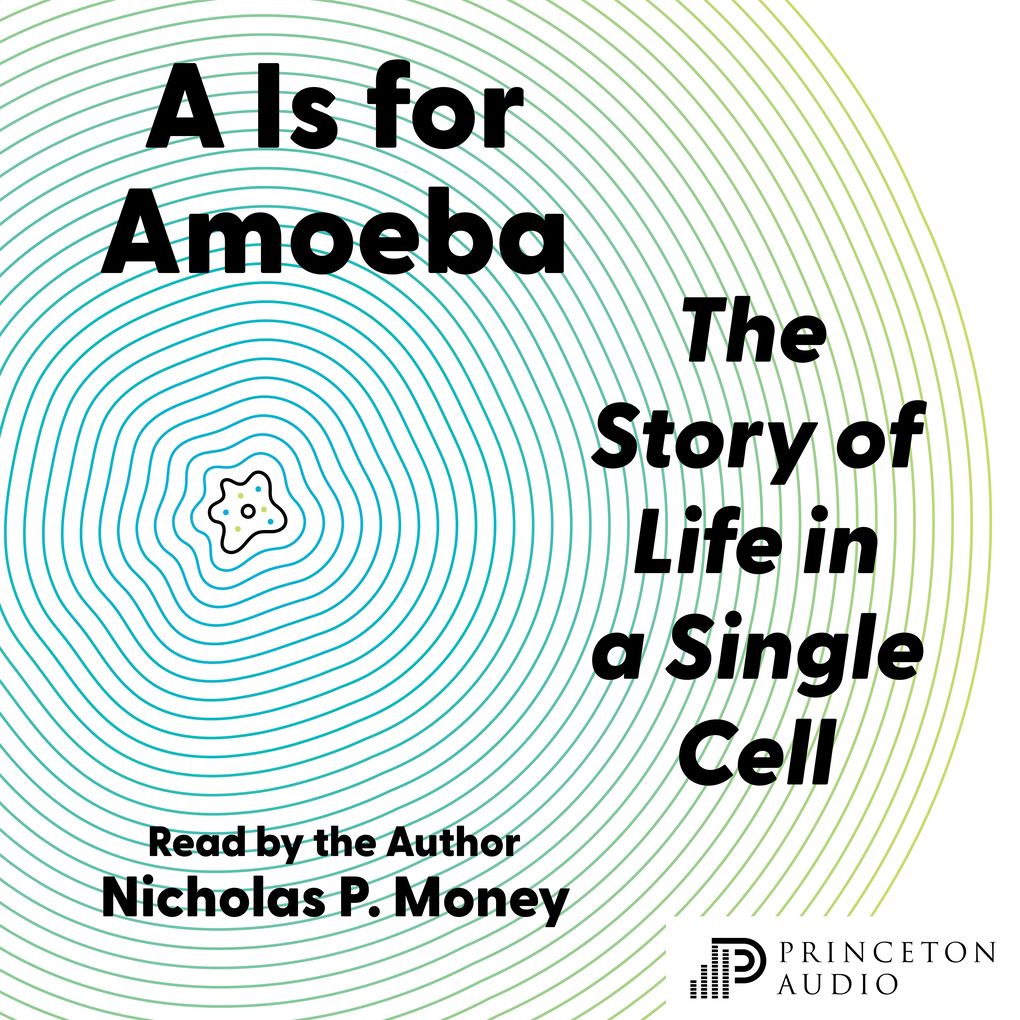 A Is for Amoeba