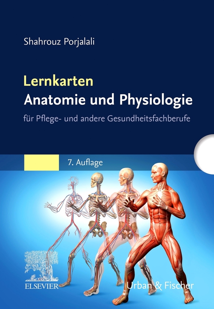Lernkarten Anatomie und Physiologie