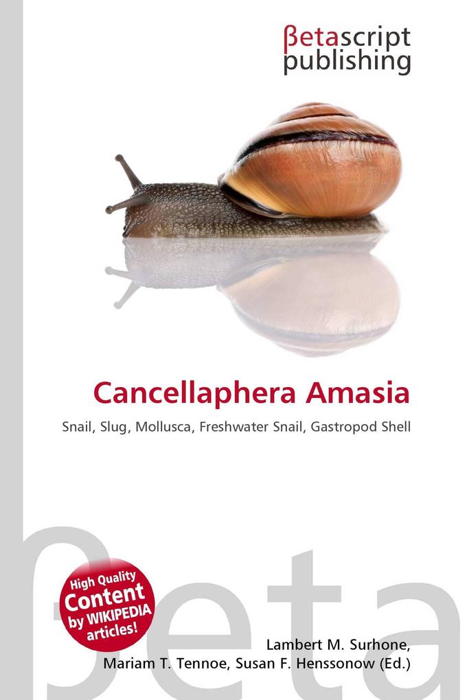 Cancellaphera Amasia