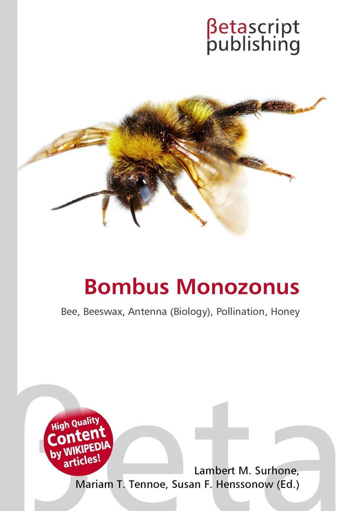 Bombus Monozonus