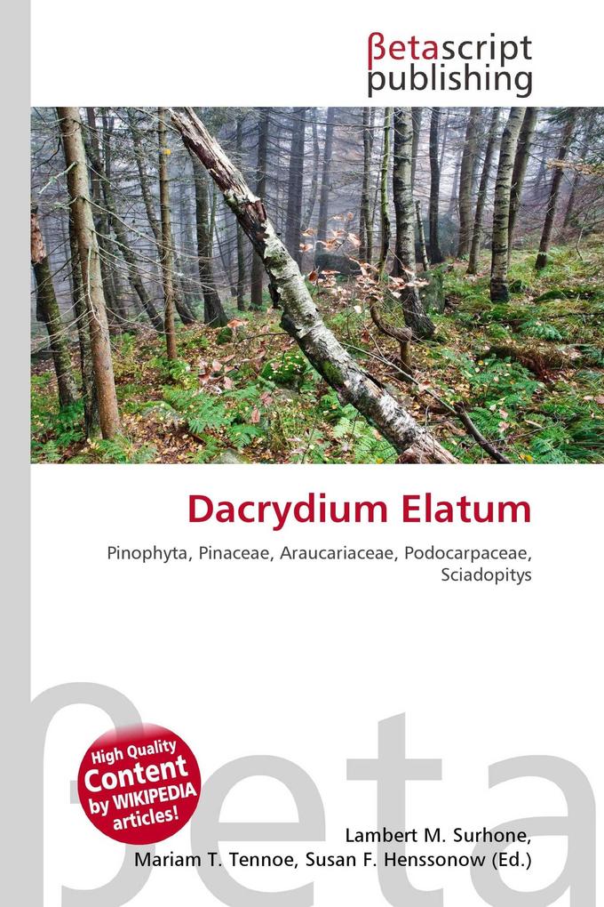 Dacrydium Elatum