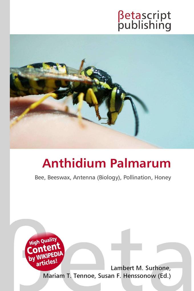 Anthidium Palmarum