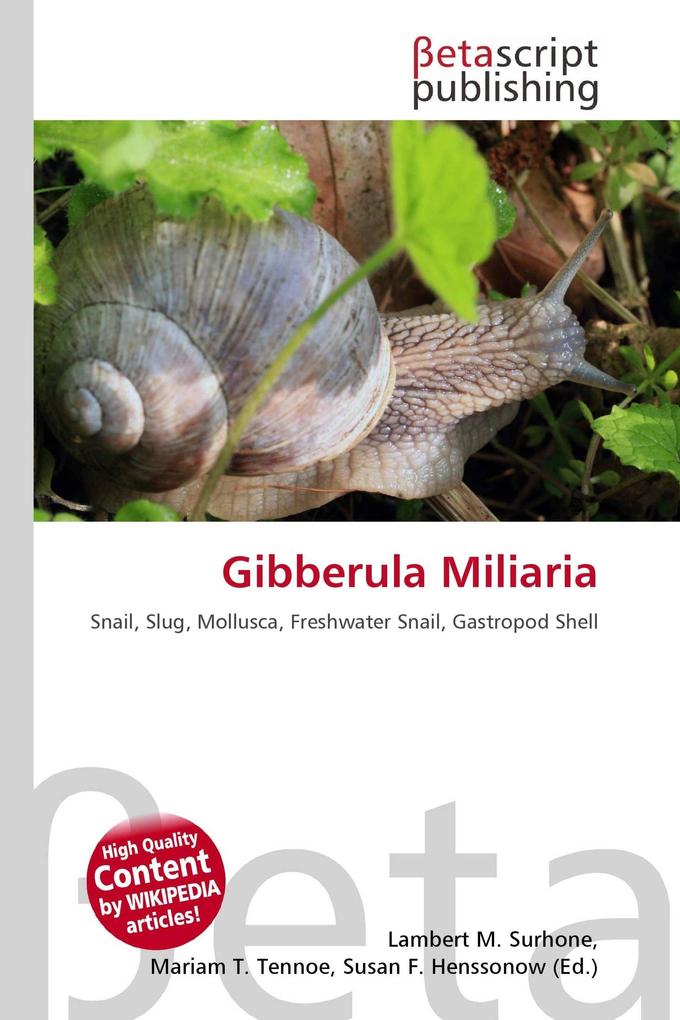 Gibberula Miliaria
