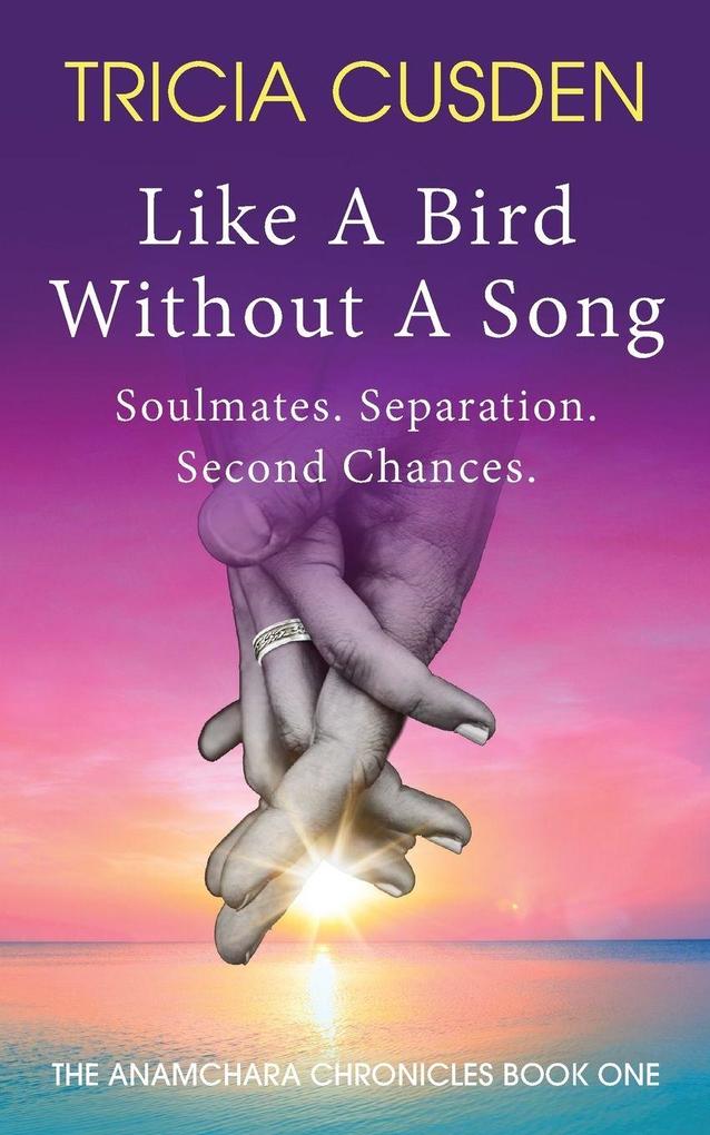 Like A Bird Without A Song