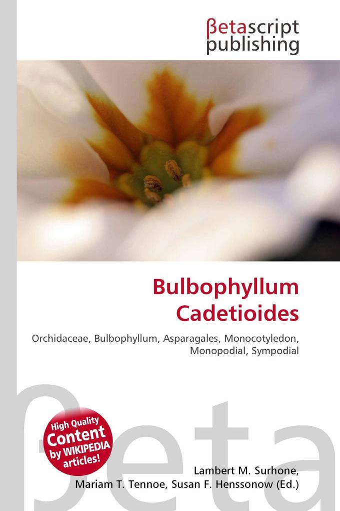 Bulbophyllum Cadetioides