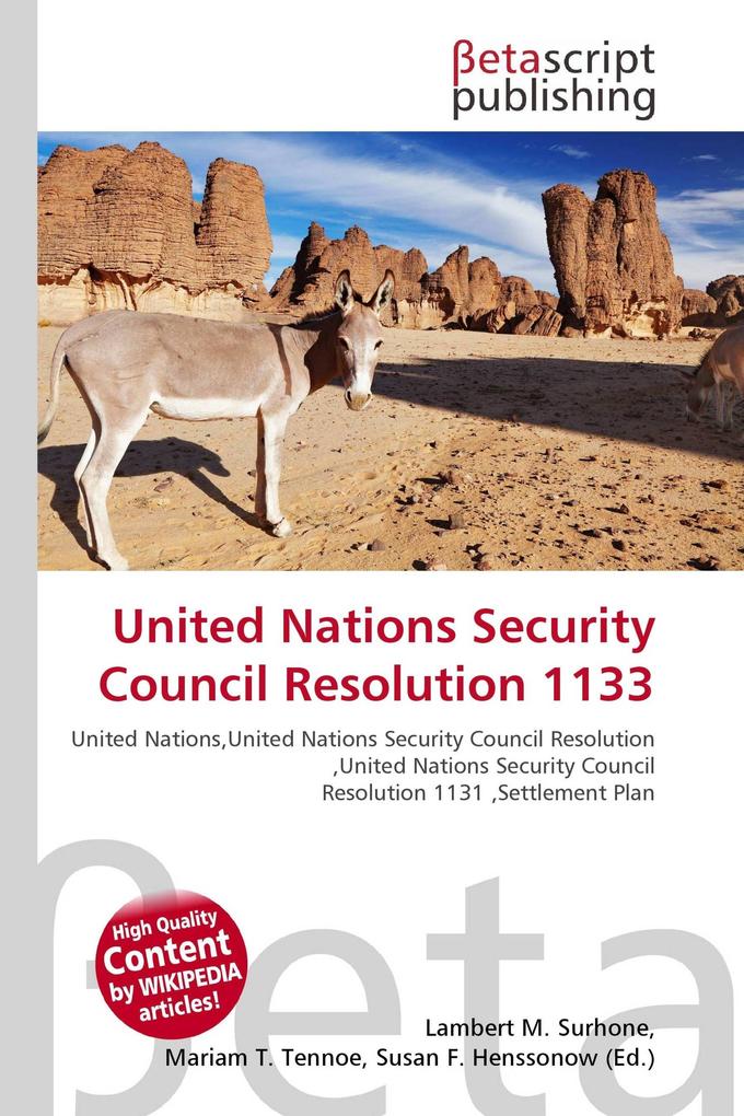 United Nations Security Council Resolution 1133
