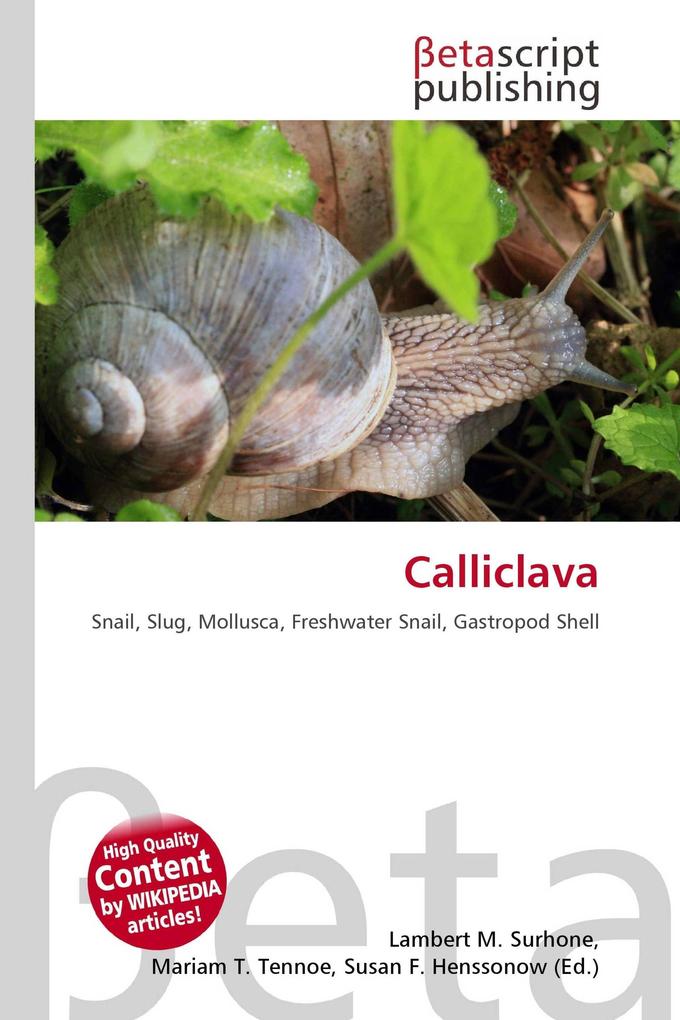 Calliclava